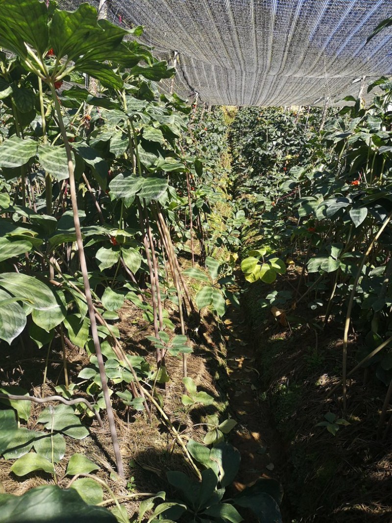 寻找赤峰市区临期食品经销商
