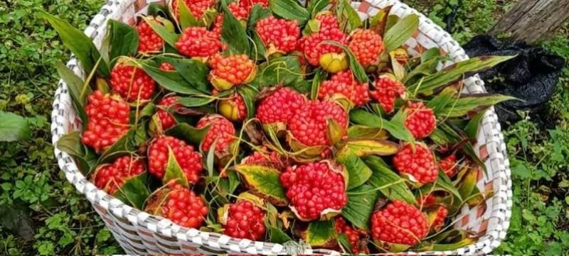 寻找赤峰市区临期食品经销商