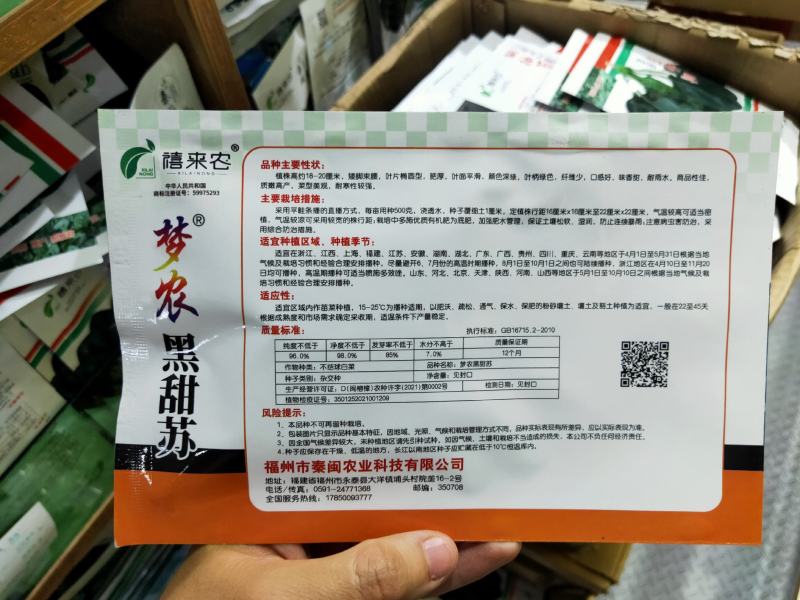 黑甜苏矮脚苏州青种子黑大头油菜种子肉厚耐寒蔬菜种子