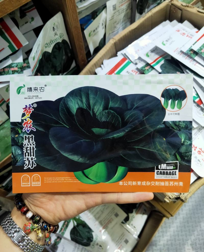 黑甜苏矮脚苏州青种子黑大头油菜种子肉厚耐寒蔬菜种子