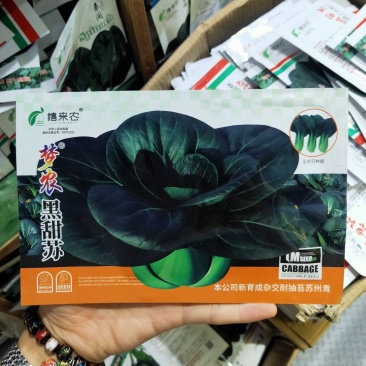 黑甜苏矮脚苏州青种子黑大头油菜种子肉厚耐寒蔬菜种子