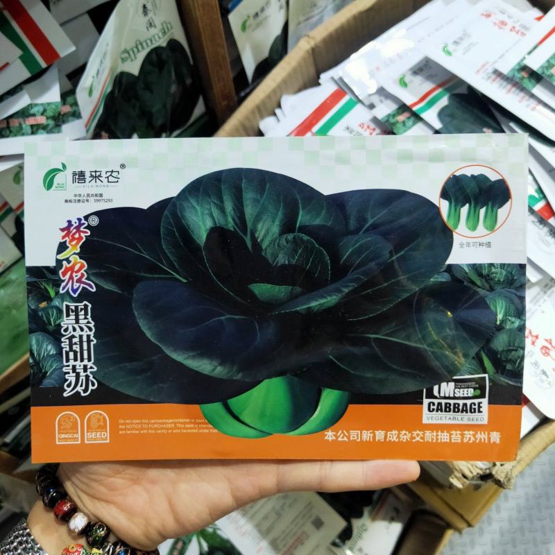 黑甜苏矮脚苏州青种子黑大头油菜种子肉厚耐寒蔬菜种子