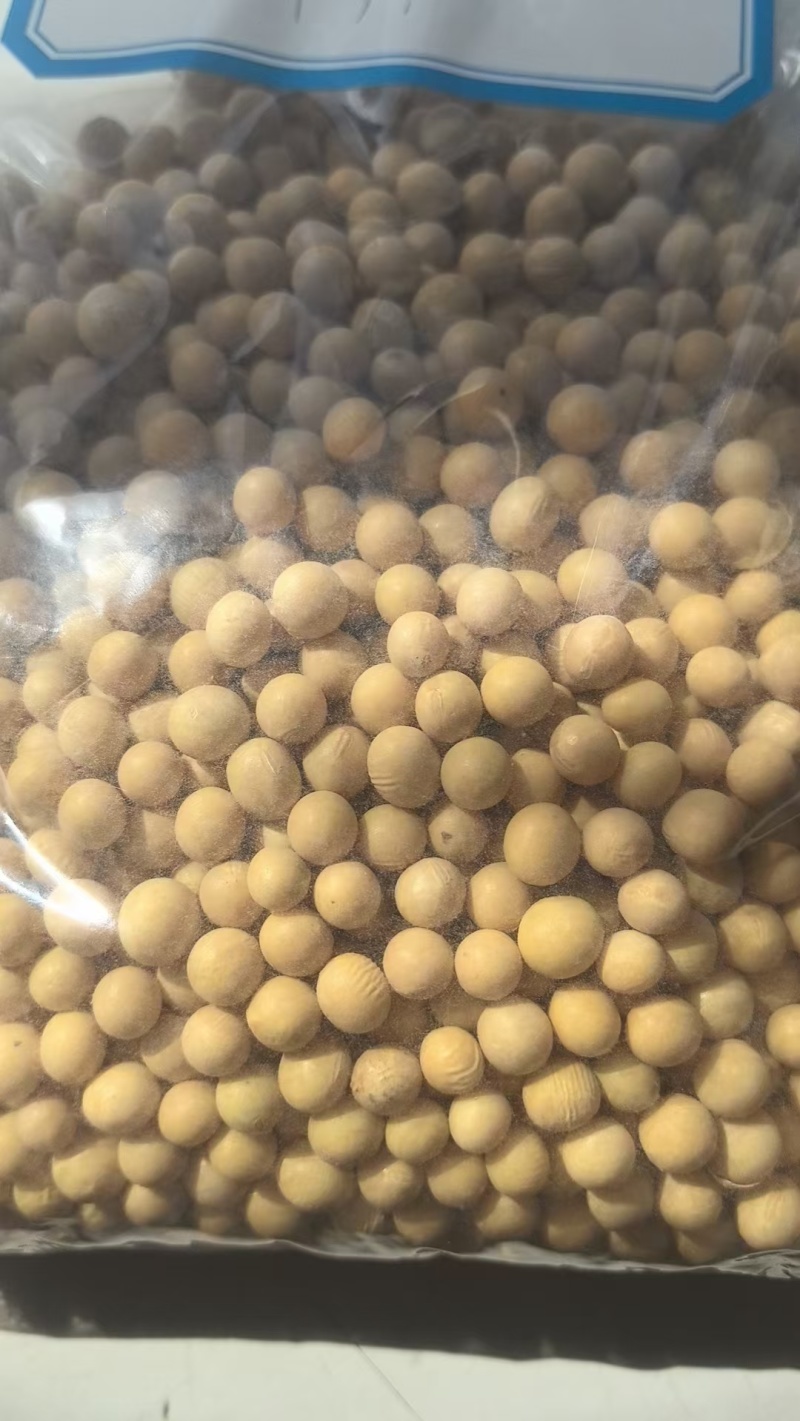 东北高蛋白大豆42蛋白11个水