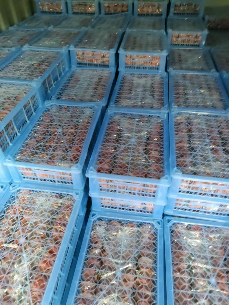 桂林柿饼广西富平柿饼源头加工厂源头商超批发电商柿饼一手货