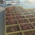 桂林柿饼广西富平柿饼吊柿饼圆饼源头加工厂供商超批发电商一手货
