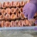 桂林柿饼广西富平柿饼吊柿饼圆饼源头加工厂供商超批发电商一手货