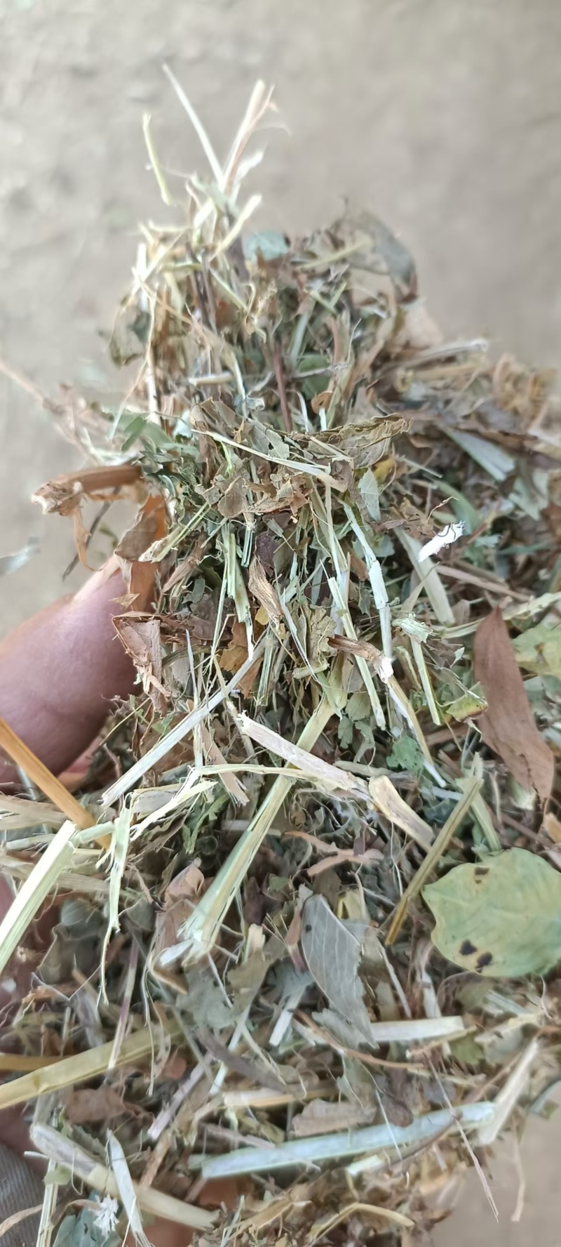 原产地大量出售花生秧羊草，一级花生秧