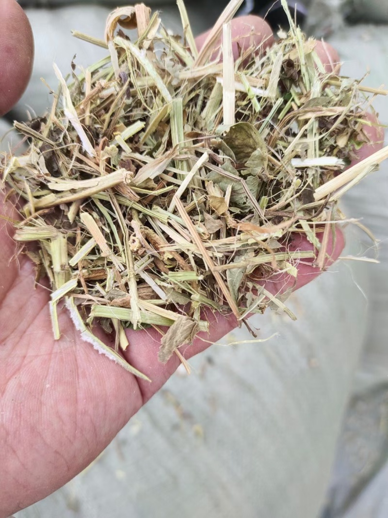 原产地大量出售花生秧羊草，一级花生秧