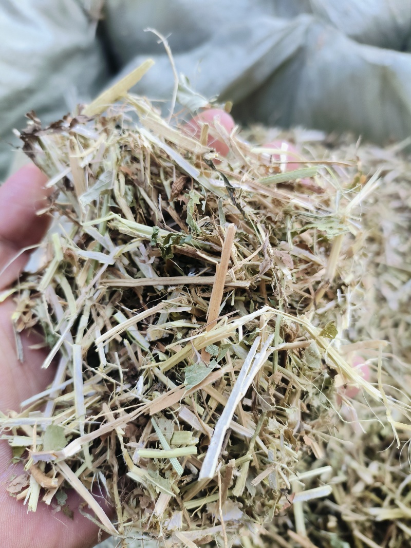 原产地大量出售花生秧羊草，一级花生秧
