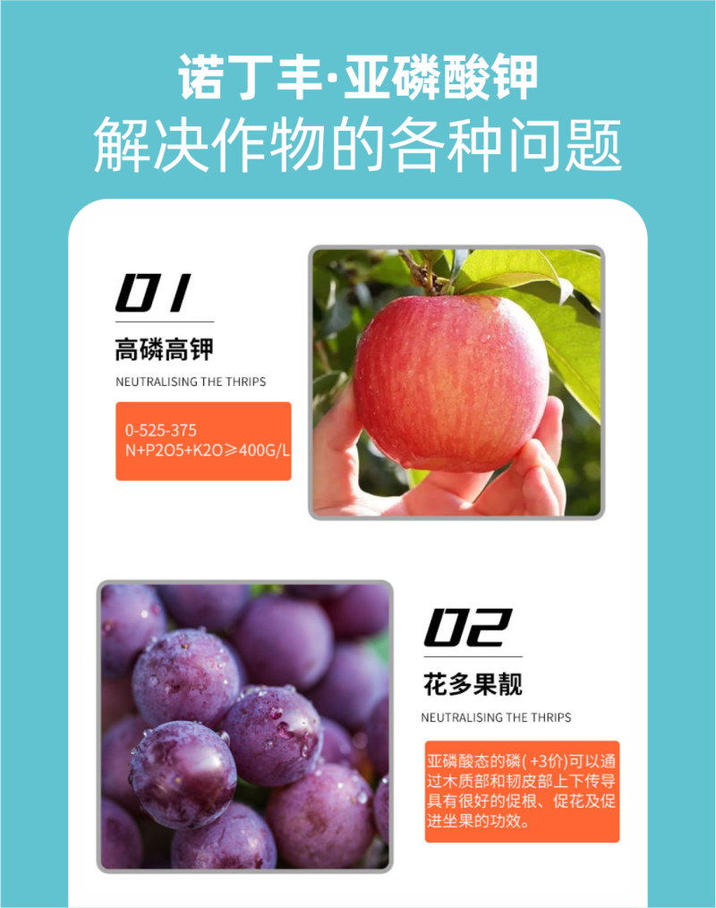 亚磷酸钾肥大量元素水溶肥叶面肥冲施肥高磷高钾肥料