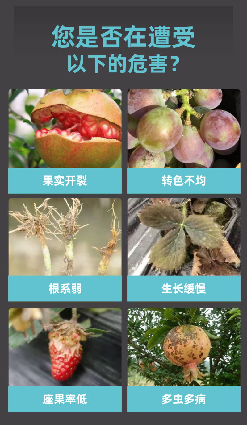 亚磷酸钾肥大量元素水溶肥叶面肥冲施肥高磷高钾肥料