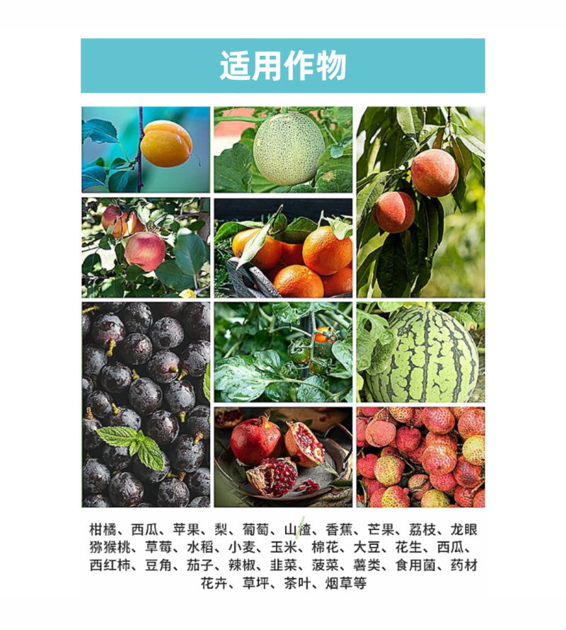 亚磷酸钾肥大量元素水溶肥叶面肥冲施肥高磷高钾肥料