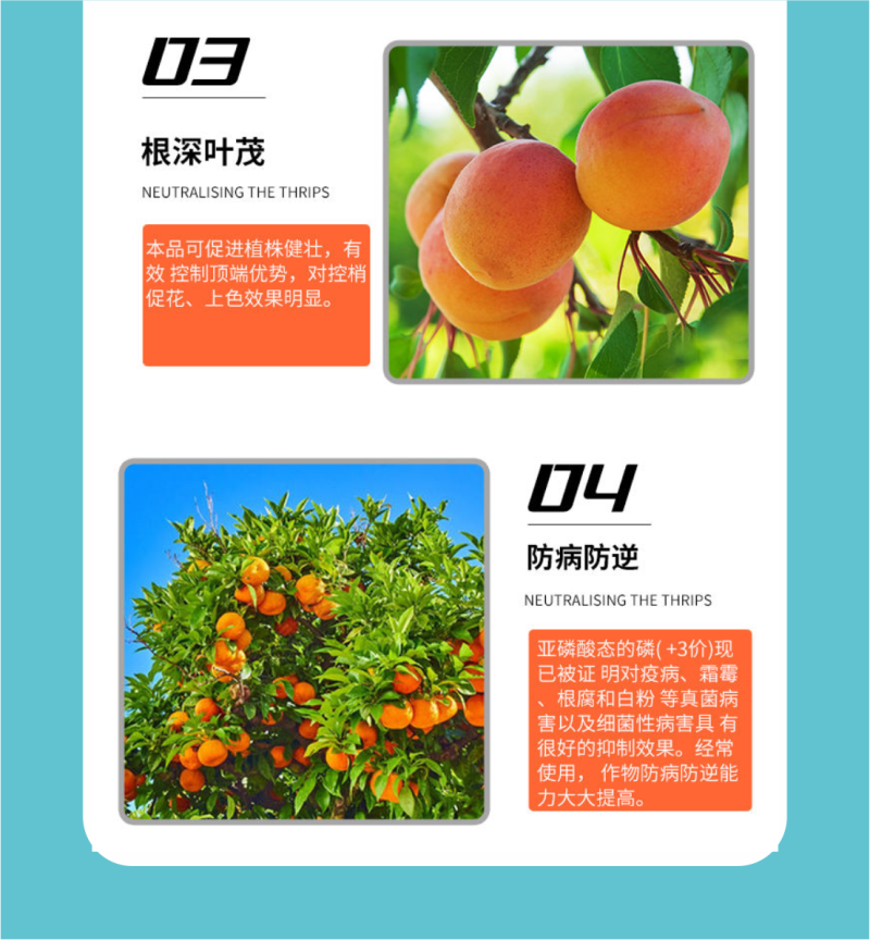 亚磷酸钾肥大量元素水溶肥叶面肥冲施肥高磷高钾肥料