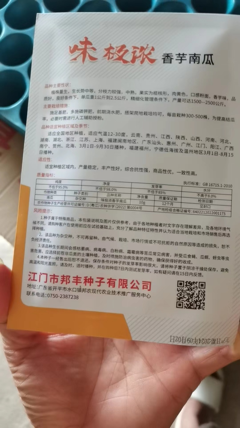 香芋南瓜，贝贝密本种子！发芽率高达98%以上，欢迎选购！