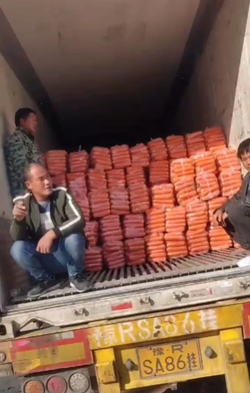 精品胡萝卜水洗胡萝卜常年大量有货价格便宜质量好