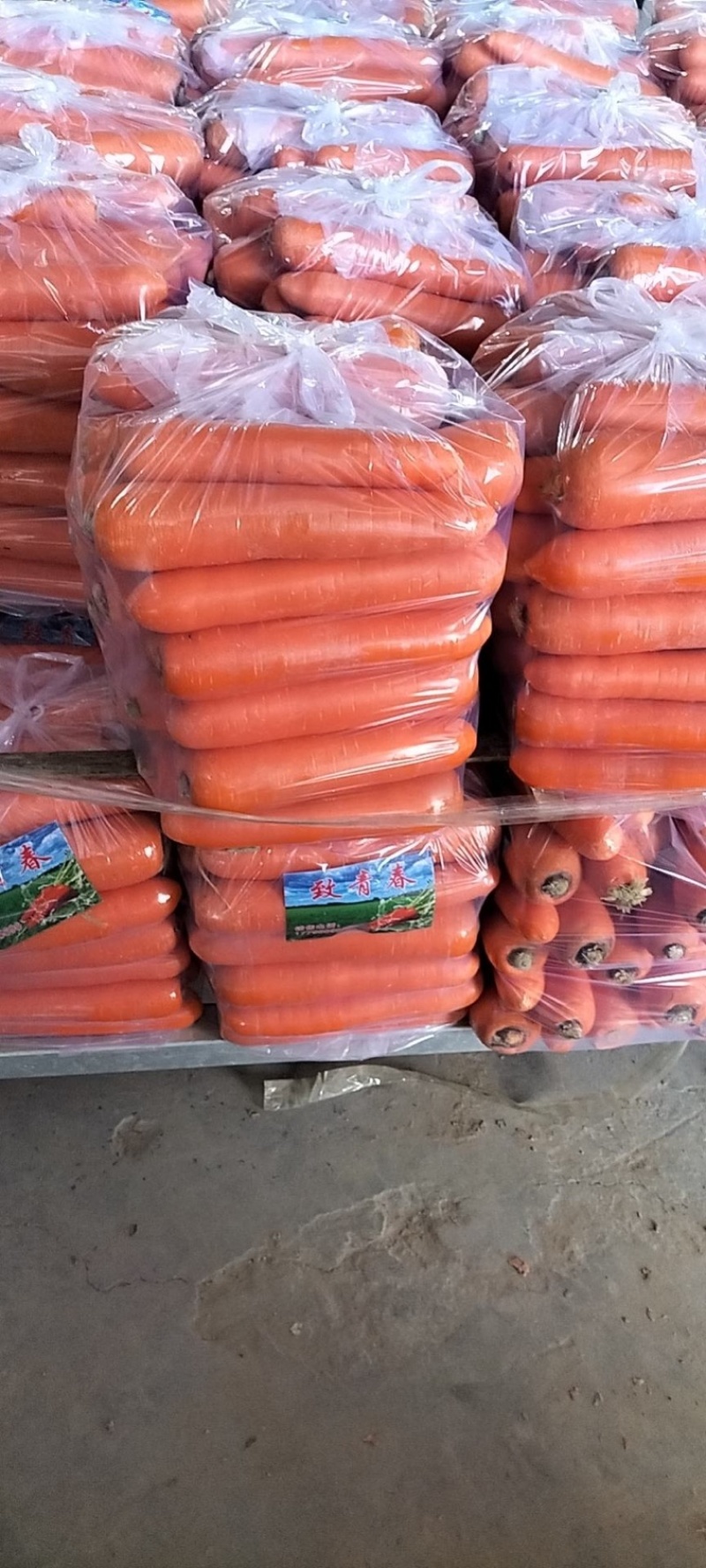 精品胡萝卜水洗胡萝卜常年大量有货价格便宜质量好