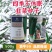 原厂正品顶牛99韭菜种子高产抗病耐寒韭菜种籽大棚露地专用