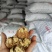 2024年云南麻子核桃干核桃薄壳核桃大果山白皮