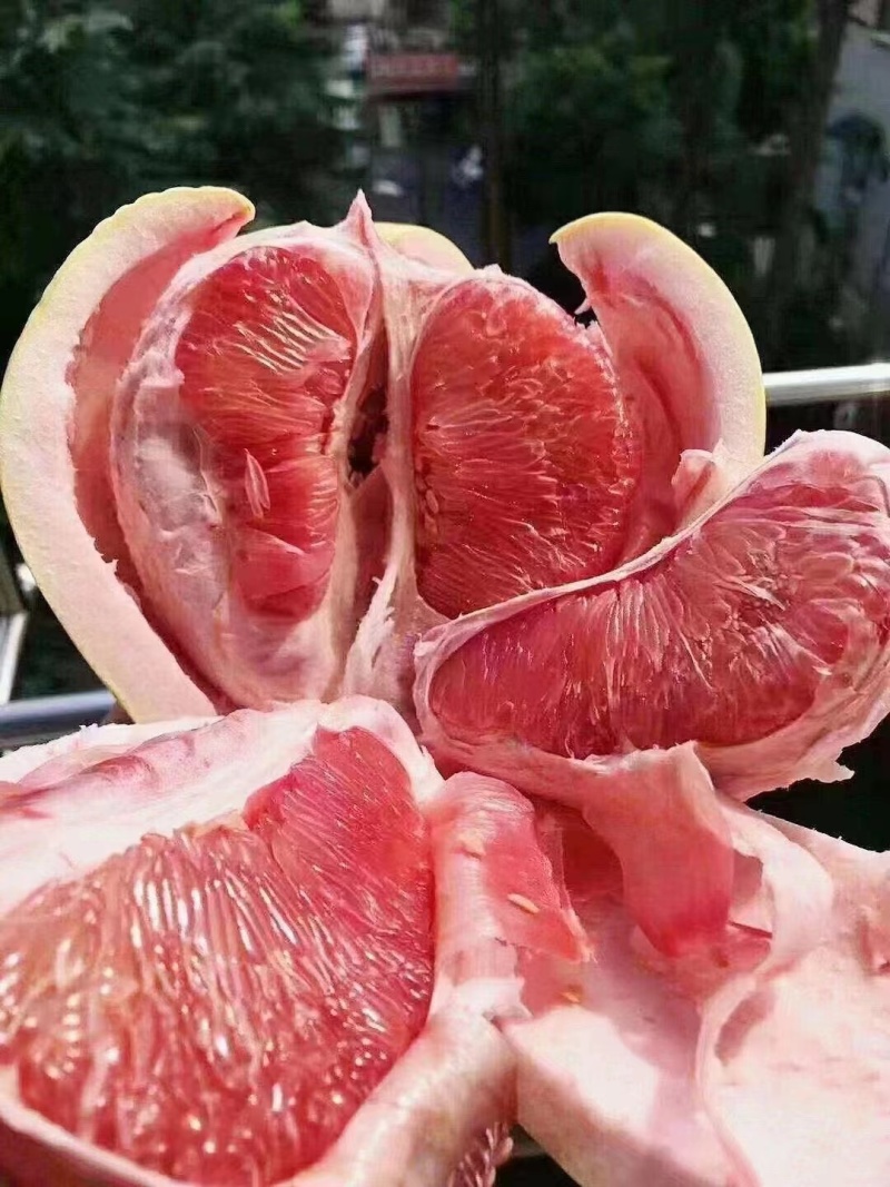 红心柚大量现货供应，皮薄肉厚入口化渣多汁，欢迎咨询#柚子