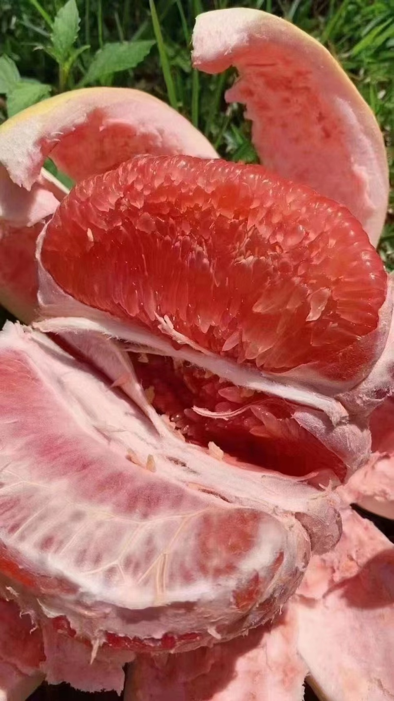 红心柚大量现货供应，皮薄肉厚入口化渣多汁，欢迎咨询#柚子