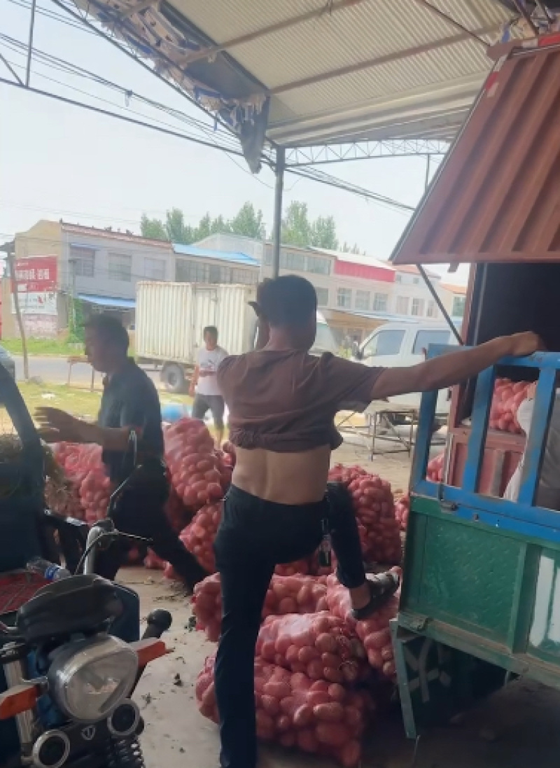 产地精品水果冬瓜批量走货价格低各种规格