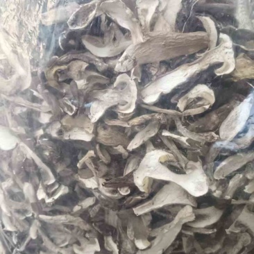 美味牛肝干片