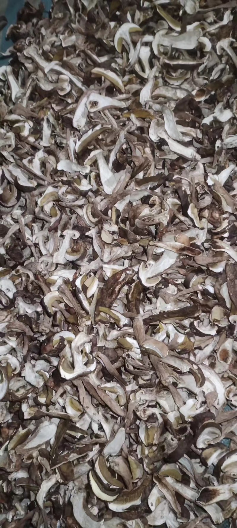 美味牛肝干片