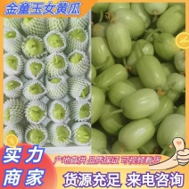 山东大量上市精品金童玉女黄瓜价格优惠量大从优欢迎咨询！