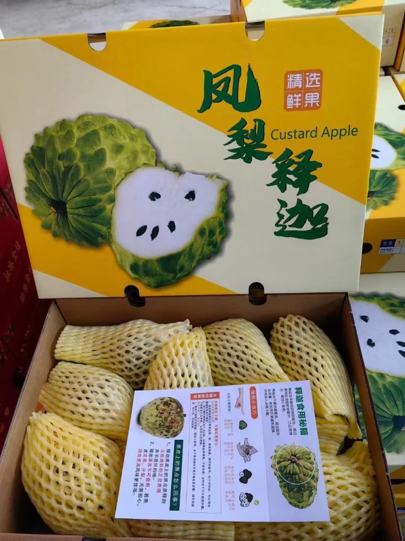凤梨释迦产地直发供应全国批发市场社区团购