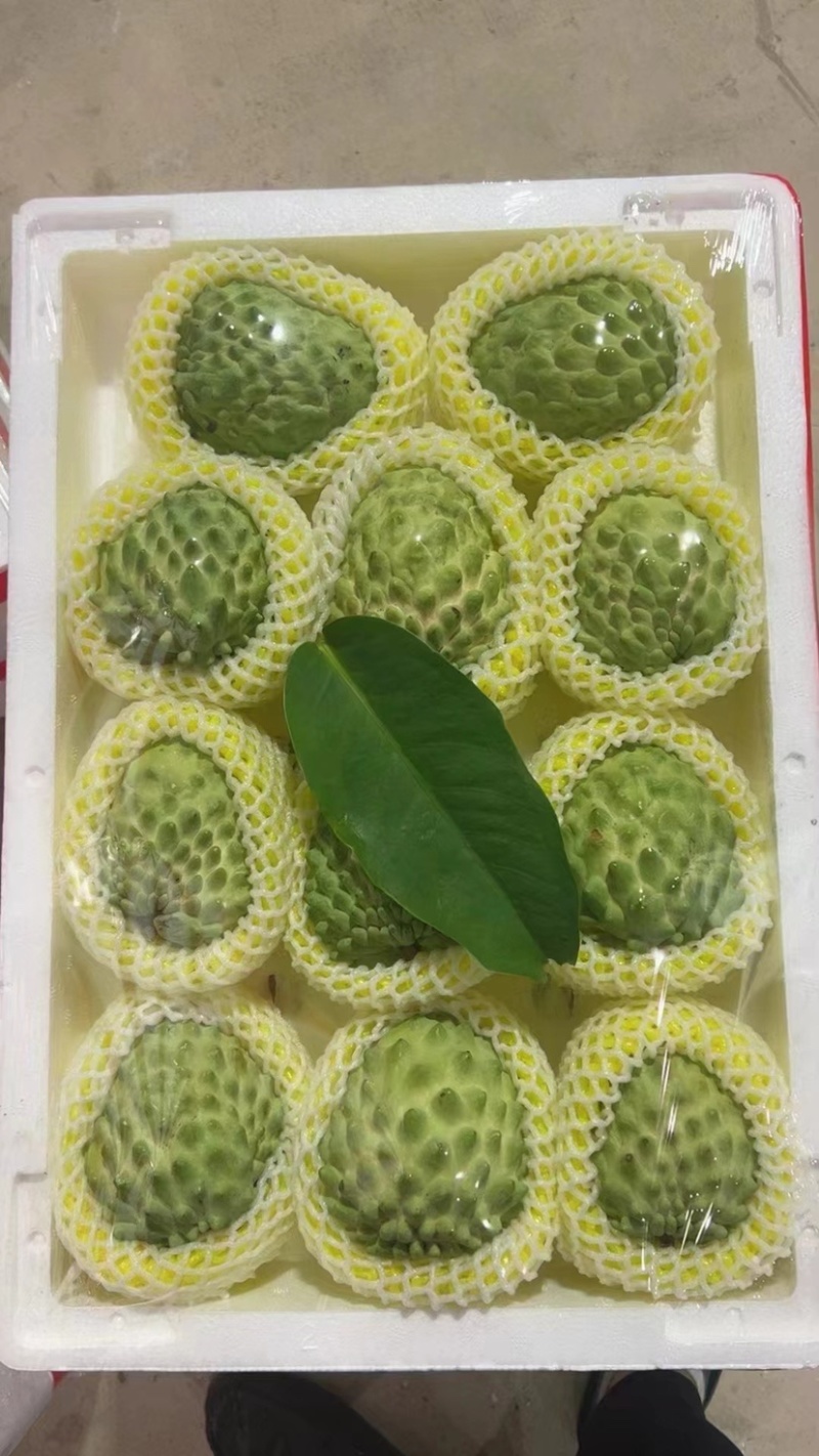 凤梨释迦产地直发供应全国批发市场社区团购