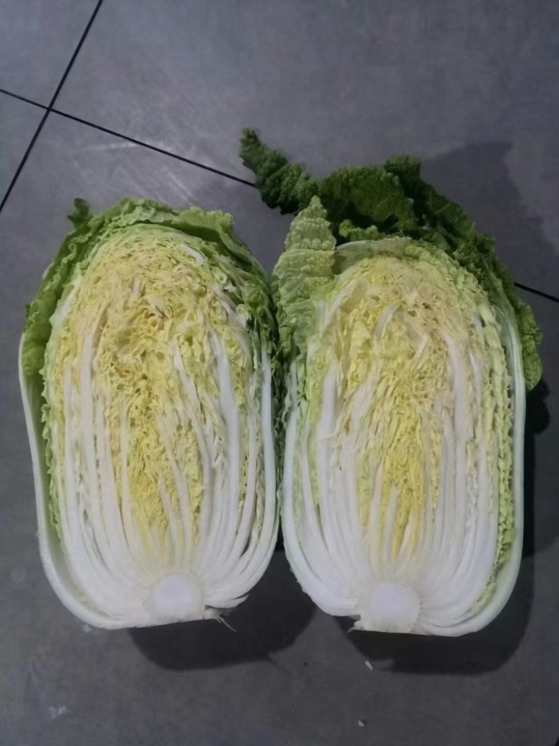 精品黄心白菜鲜白菜基地直发价格便宜质量好