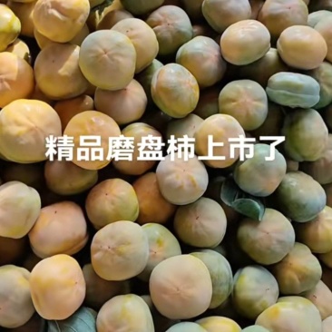 蘑盘柿子，甜心柿子开始上市了，有需要的联系我