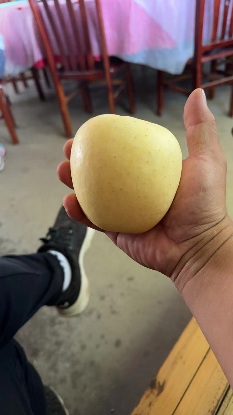 维纳斯大量有货，脆甜耐运输可全部地区发货，糖度高表光漂亮
