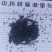 韭菜子正品新货无硫自产自销现货24小时内发货