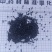韭菜子正品新货无硫自产自销现货24小时内发货