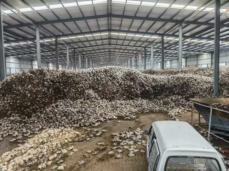 江苏鹿茸菇菌渣鹿茸菇菌渣一手货源品质保证可视频欢迎