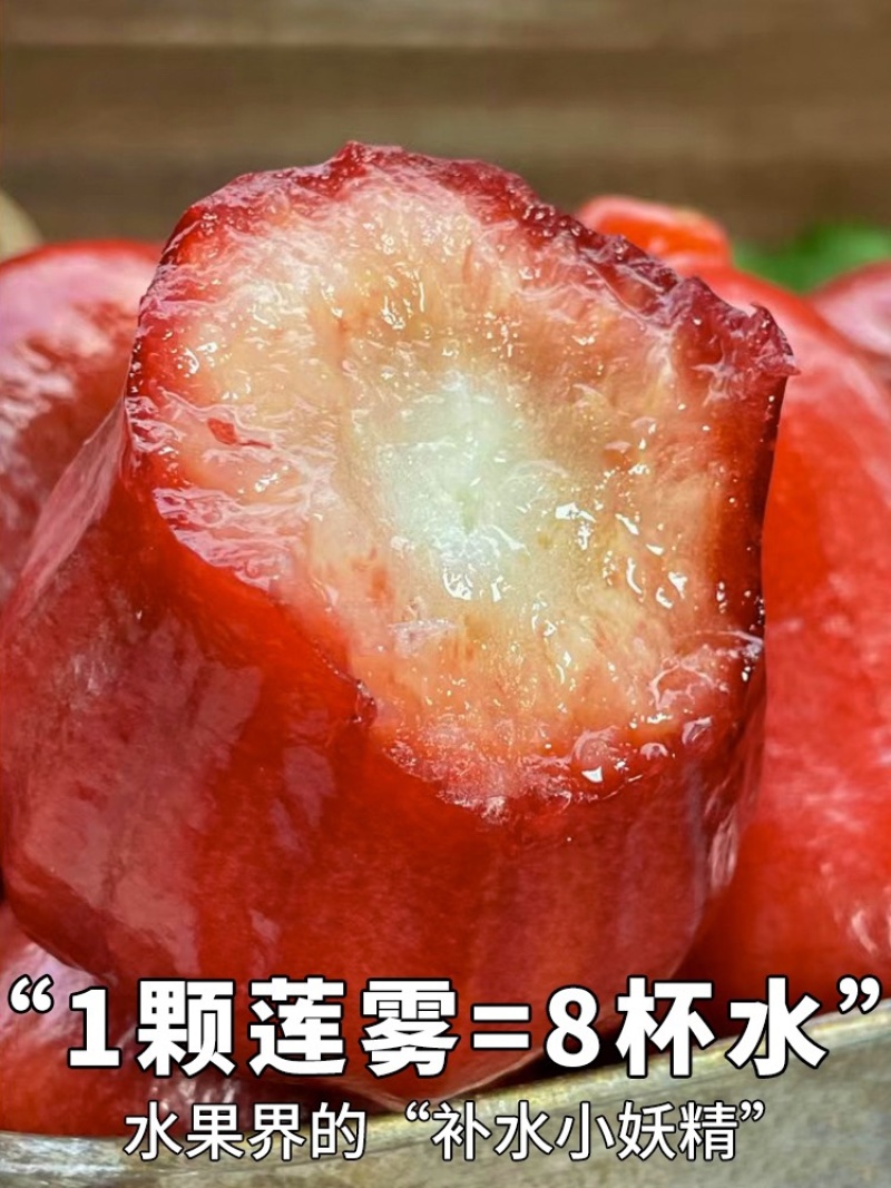 海南黑金刚莲雾长期包园做品质常年不断货供应全国批发市场