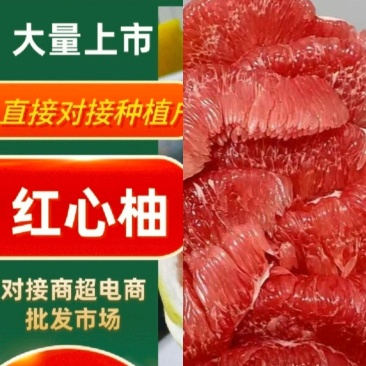 红心柚大量现货供应，皮薄肉厚入口化渣多汁，欢迎咨询#柚子