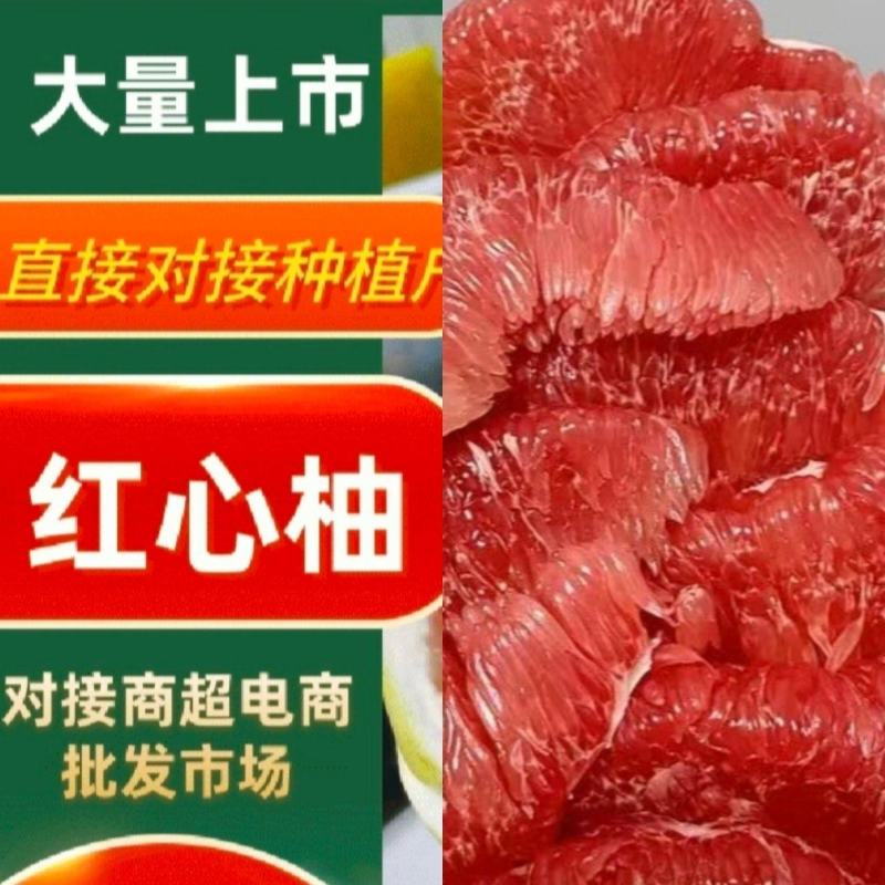 红心柚大量现货供应，皮薄肉厚入口化渣多汁，欢迎咨询#柚子