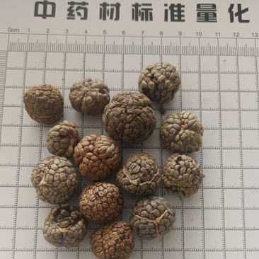 草蔻，草豆蔻产地一手货源实拍现货24小时内发货