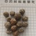 草蔻，草豆蔻产地一手货源实拍现货24小时内发货