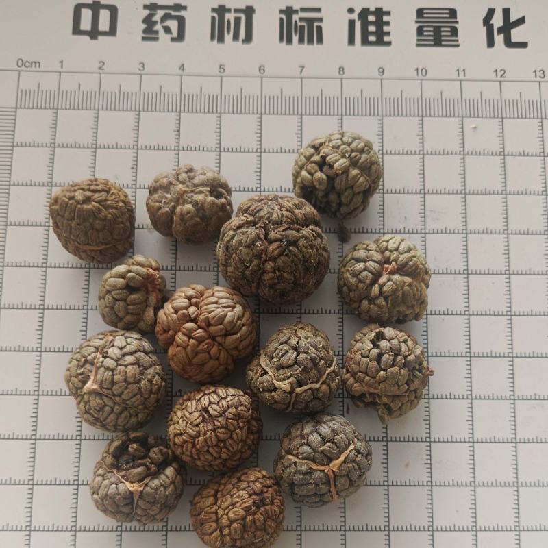 草蔻，草豆蔻产地一手货源实拍现货24小时内发货