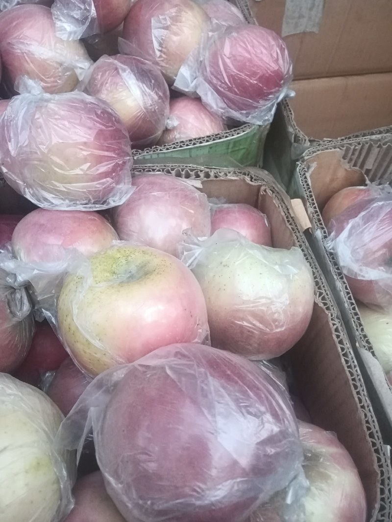 斗南苹果大量供应，，价格便宜，需要联系，