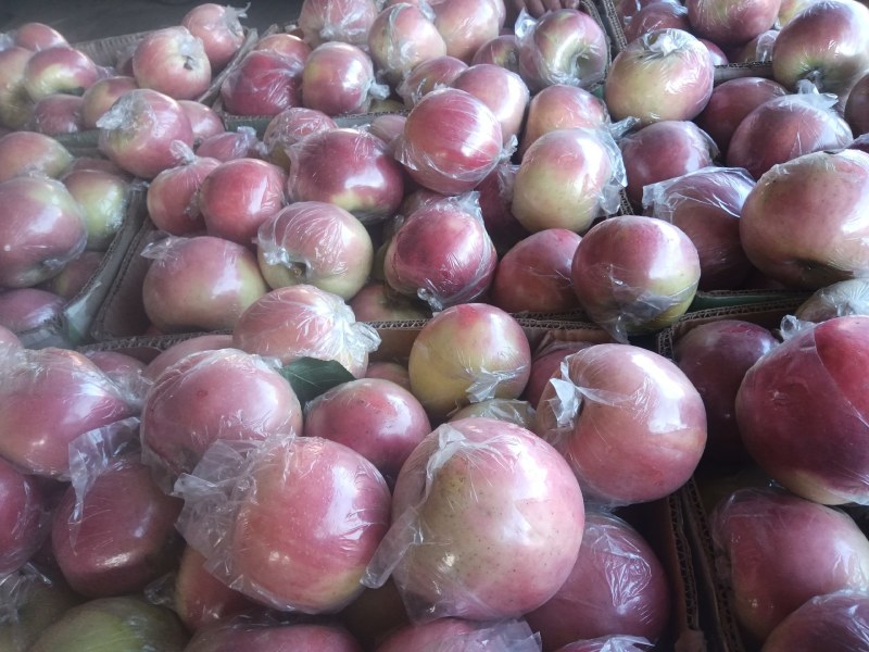 斗南苹果大量供应，，价格便宜，需要联系，
