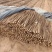 铁棍山药基地供应量大质优价格优惠一手货源欢迎采购