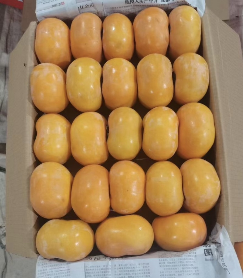 [广西脆柿]&产地对接大量供应商超出口资质齐全