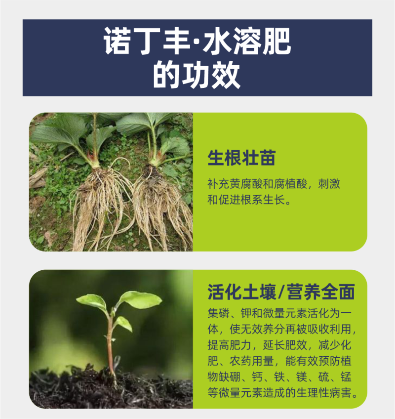 高钾型大量元素水溶肥料膨果着色增糖钾肥厂家直销