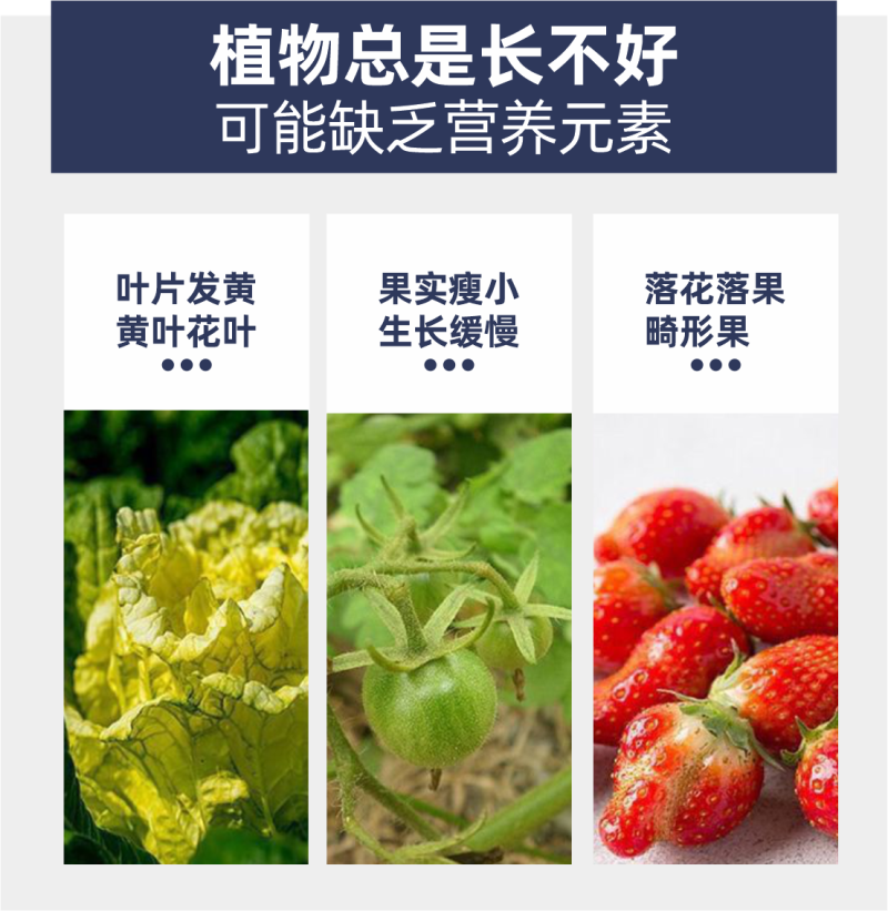 高钾型大量元素水溶肥料膨果着色增糖钾肥厂家直销