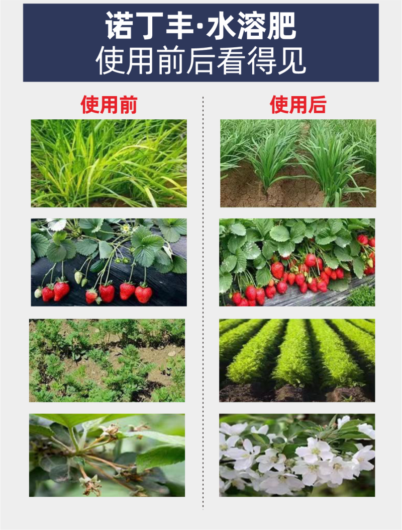 高钾型大量元素水溶肥料膨果着色增糖钾肥厂家直销