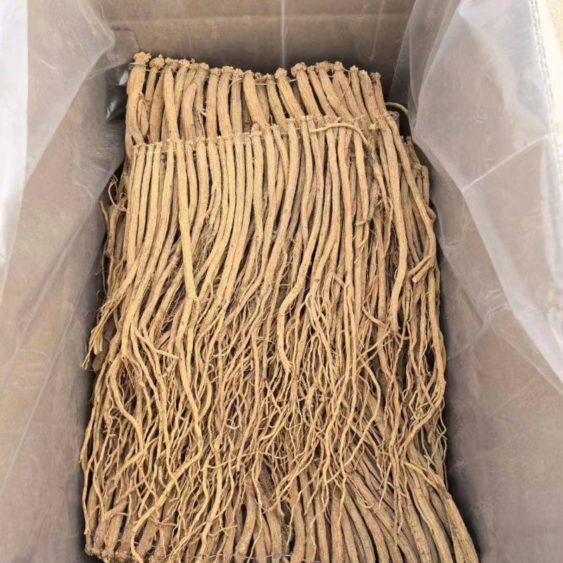 甘肃道地药材精品无硫党参